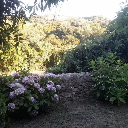 Casa Do Cravo * Santo Isidoro