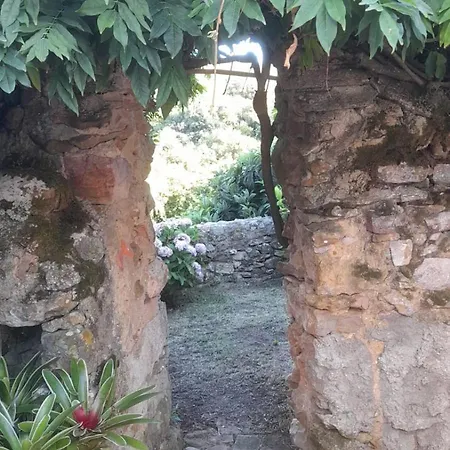 Casa Do Cravo