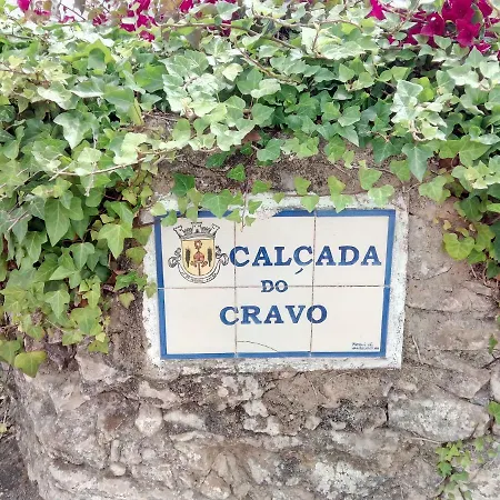 Prázdninový dům Casa Do Cravo Santo Isidoro